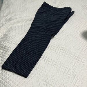 Loft Marisa fit Skinny Ankle Blue Pants size 10